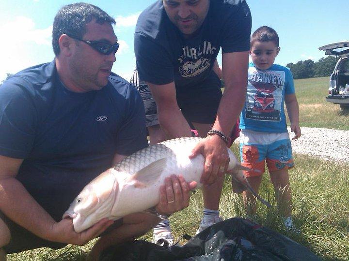 Moara Vlasiei - 2648291145202853041365448432n.jpg